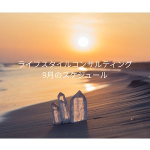 画像: ライフスタイルコンサルティング９月のスケジュール